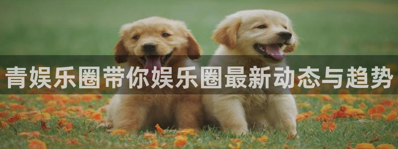 米乐yy易游