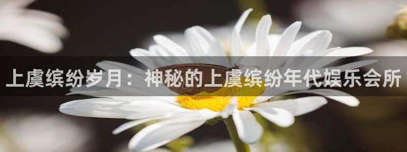 yy易游vip