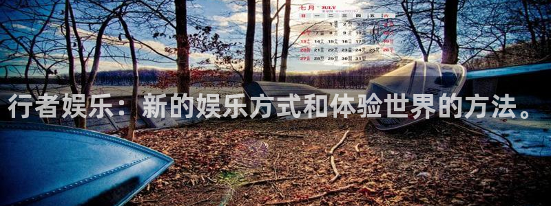 yy易游vip