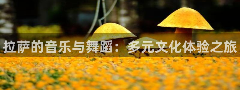 yy易游vip