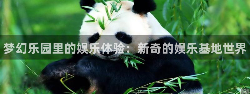 米乐yy易游m6网址