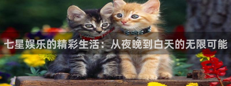 yy易游平台