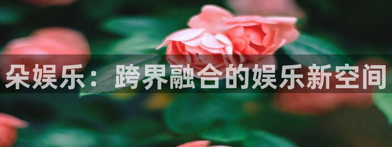 yy易游